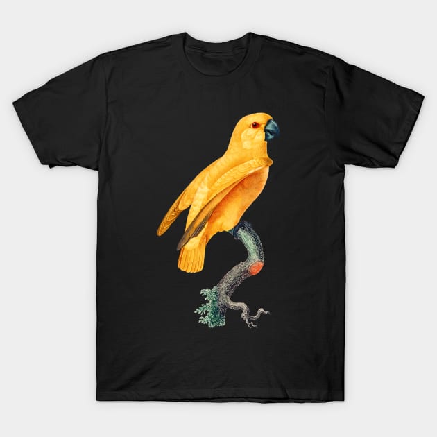 Black Panther Art - Beautiful Parrot 8 T-Shirt by The Black Panther